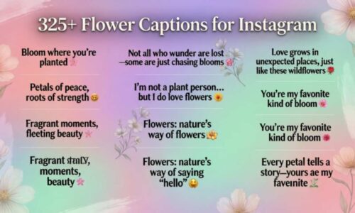 325+ Flower Captions for Instagram